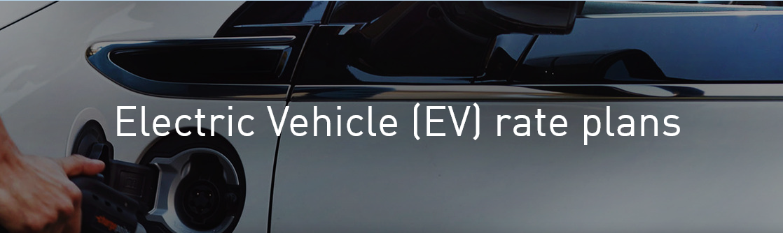 Electric Vehicle Power EV